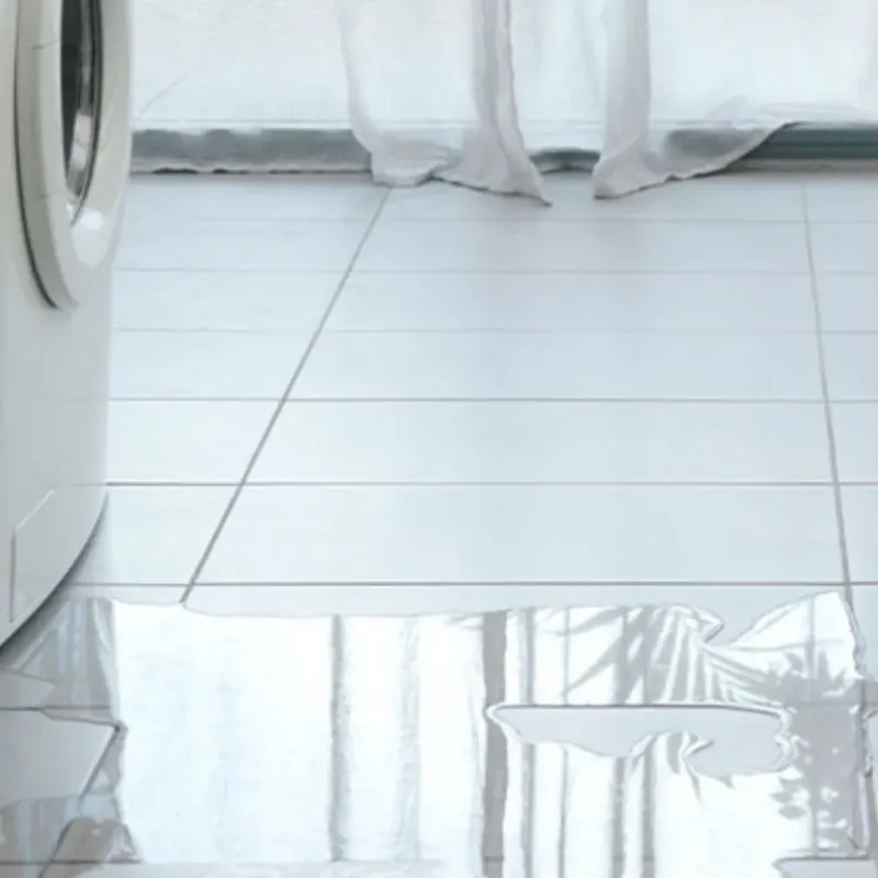 Appliance Leak Cleanup in Clarence Center, NY