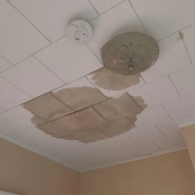 Ceiling Water Damage Repair in Clarence Center, NY