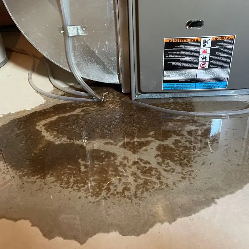 Pipe Burst and Leak Restoration in Clarence Center, NY