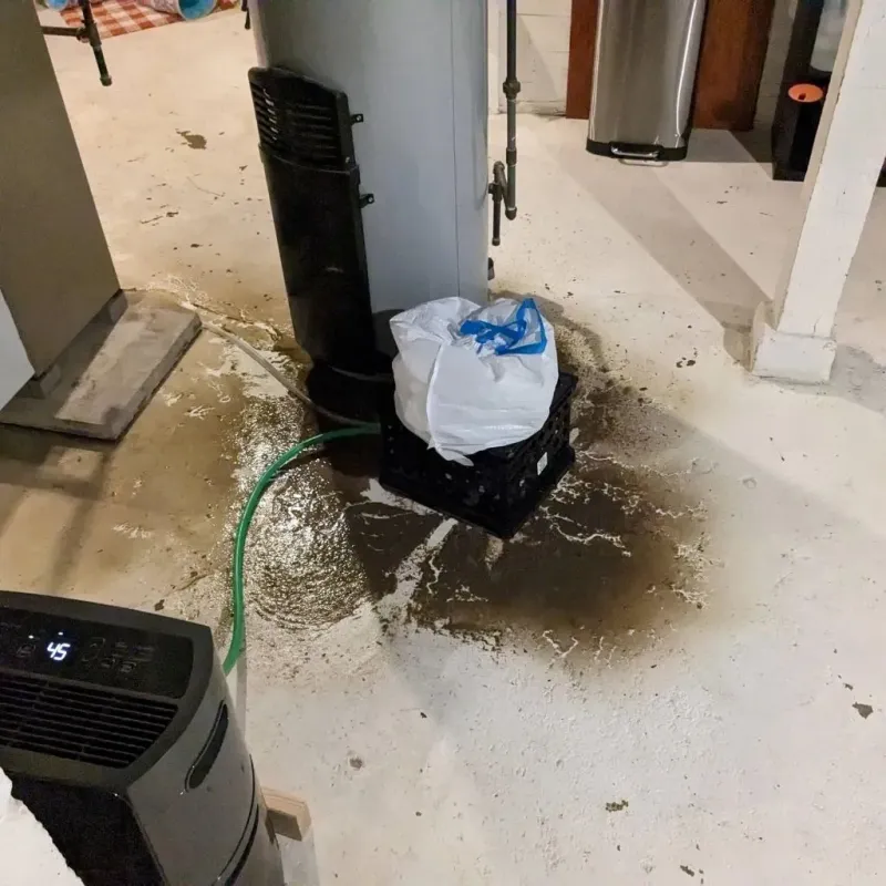 Sewage Backup Cleanup Service in Clarence Center, NY